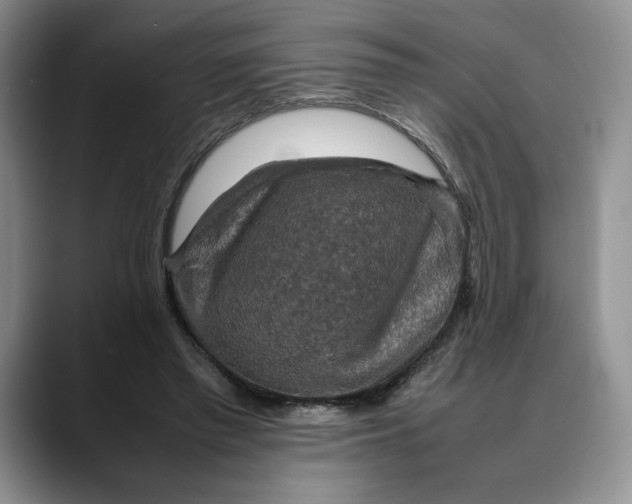 X0000088480397200706121534