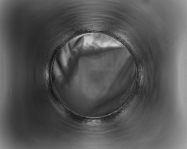 X0000088480398200706121534