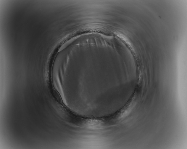 X0000088480399200706121534