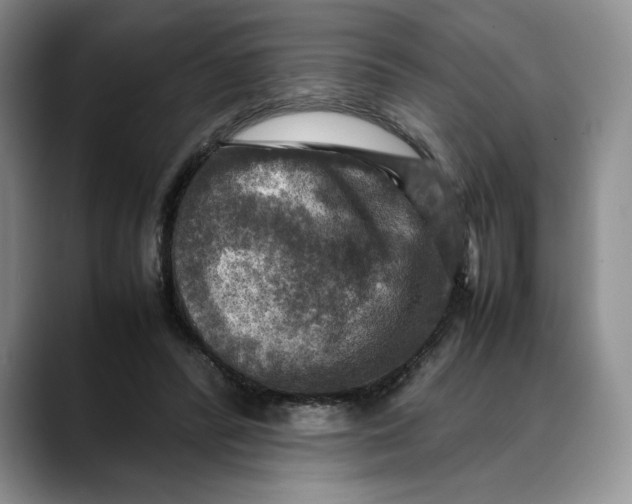 X0000088480400200706121534