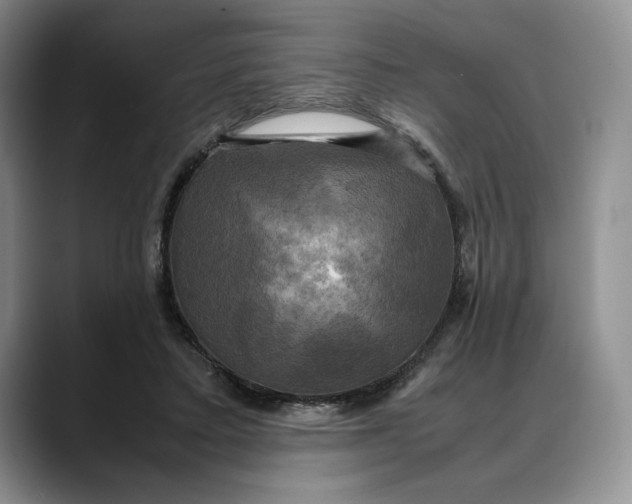 X0000088480403200706121534