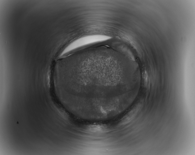 X0000088480404200706121534