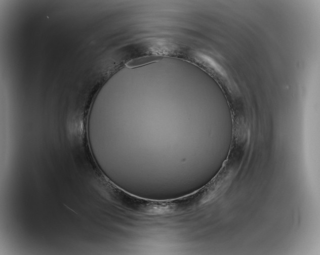 X0000088480405200706121534