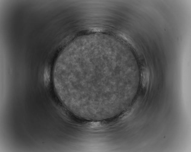 X0000088480406200706121534