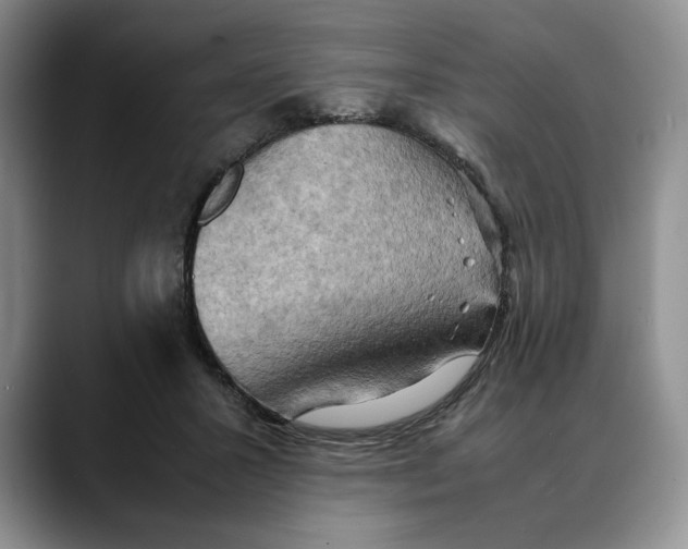 X0000088480407200706121534