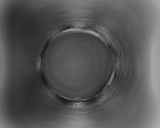 X0000088480411200706121534