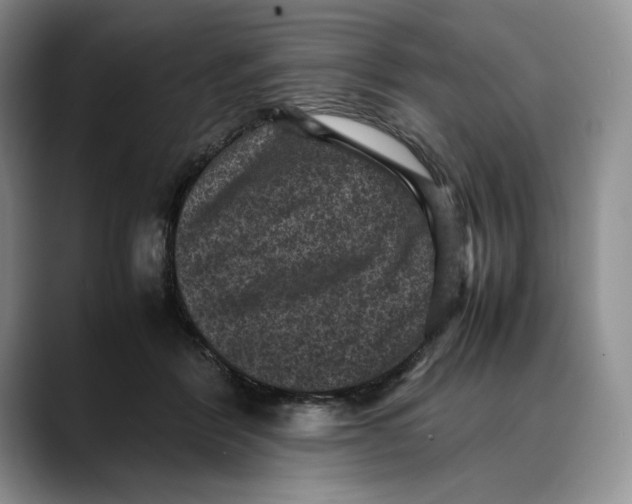 X0000088480412200706121534