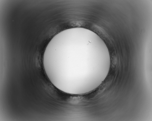 X0000088480414200706121534