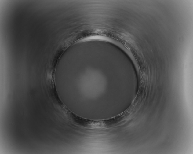 X0000088480415200706121534