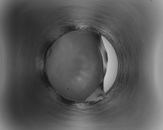 X0000088480417200706121534