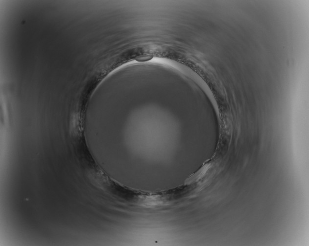 X0000088480419200706121534