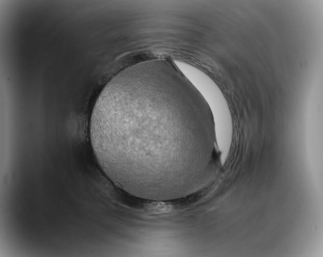 X0000088480421200706121534