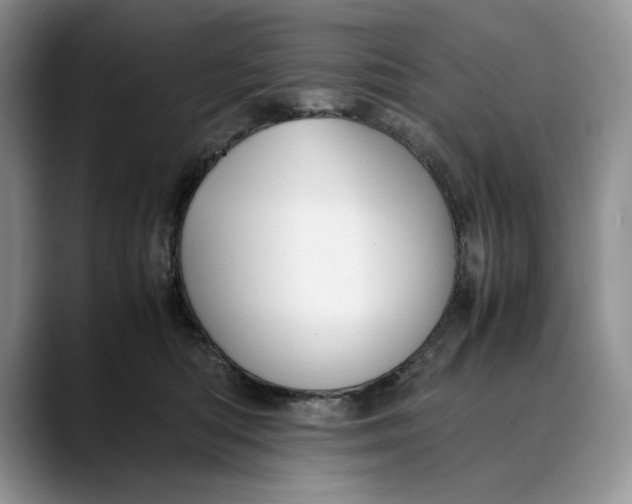 X0000088480422200706121534