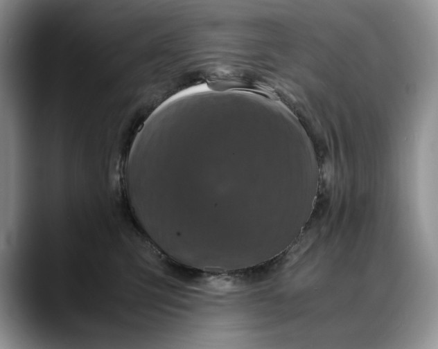 X0000088480423200706121534