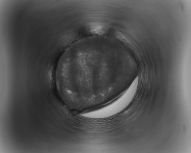 X0000088480424200706121534