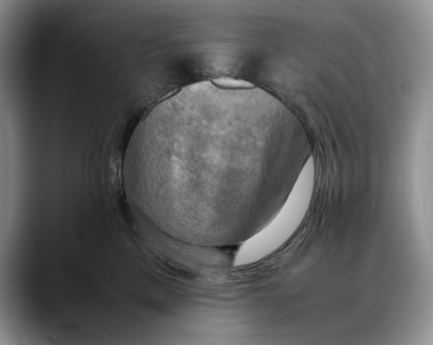 X0000088480425200706121534