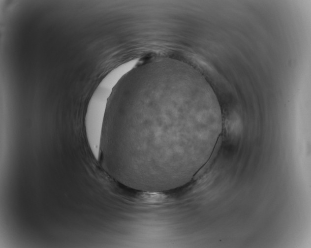 X0000088480429200706121534