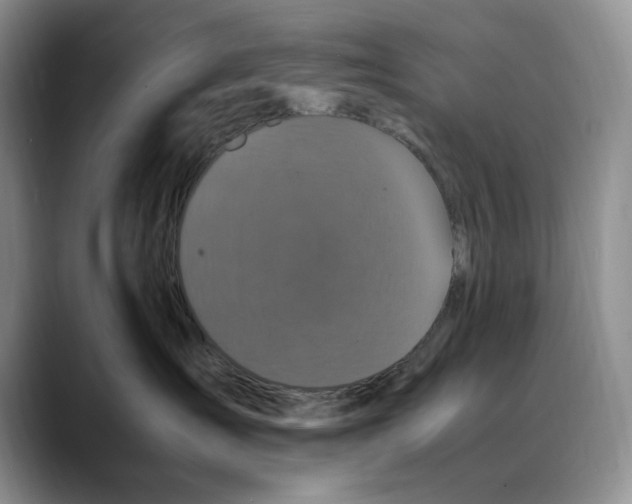 X0000088480431200706121534