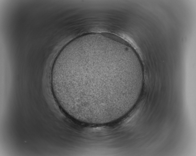 X0000088480433200706121533