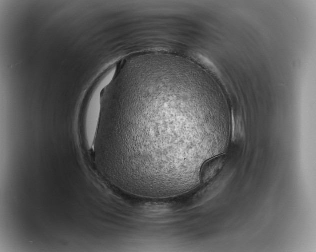 X0000088480435200706121533