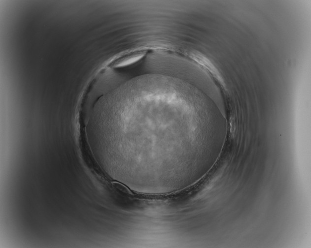 X0000088480436200706121533