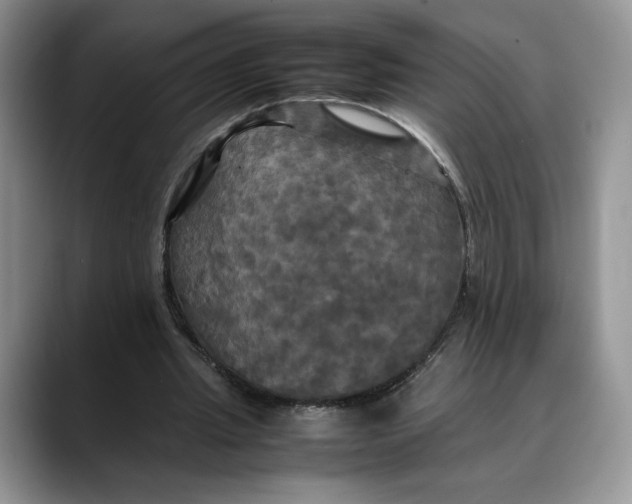 X0000088480437200706121533