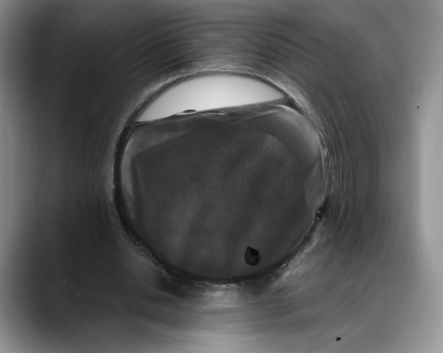 X0000088480438200706121533