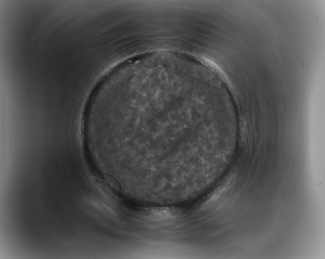 X0000088480439200706121533