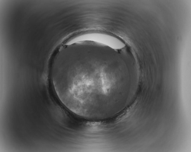 X0000088480440200706121533