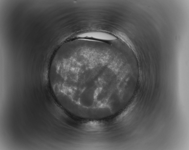 X0000088480441200706121533