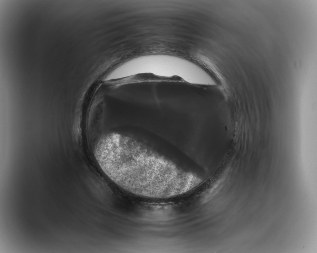 X0000088480443200706121533