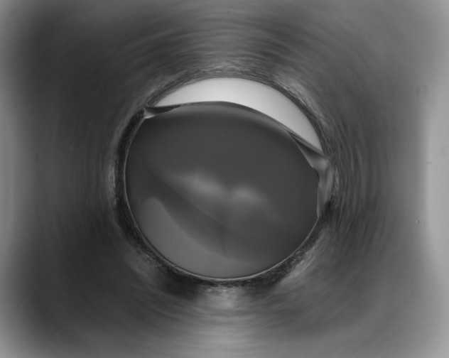 X0000088480444200706121534