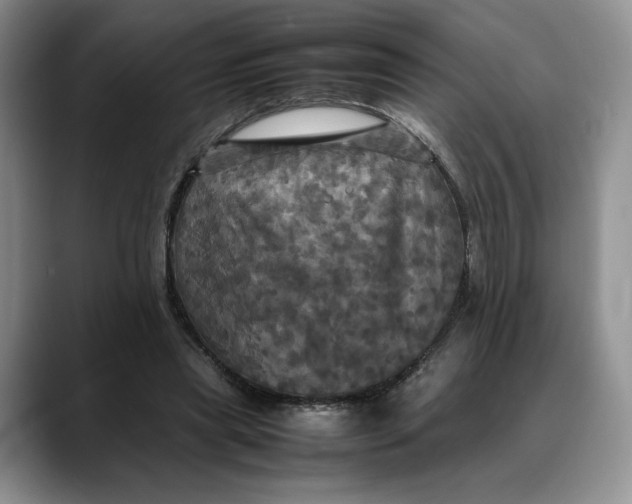 X0000088480445200706121534