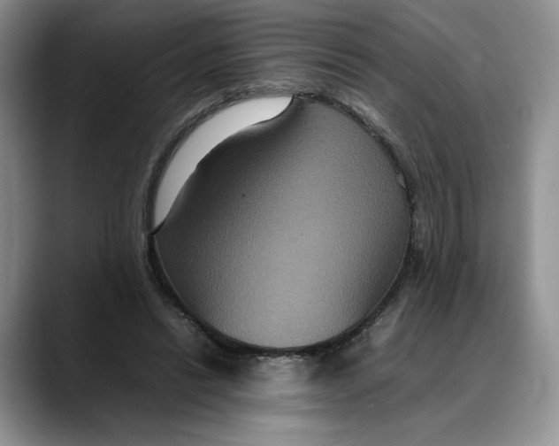 X0000088480446200706121534