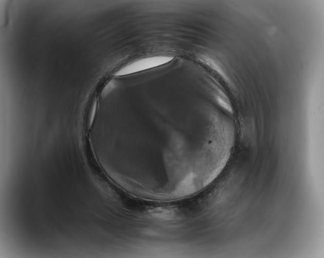 X0000088480447200706121534