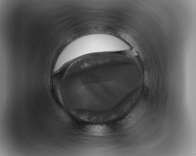 X0000088480449200706121534