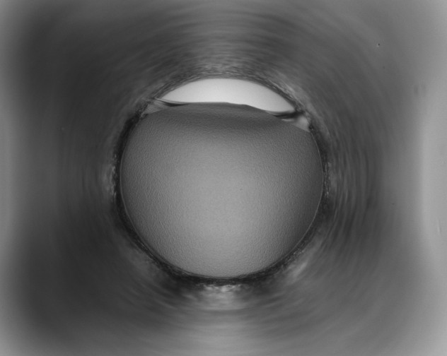 X0000088480450200706121534