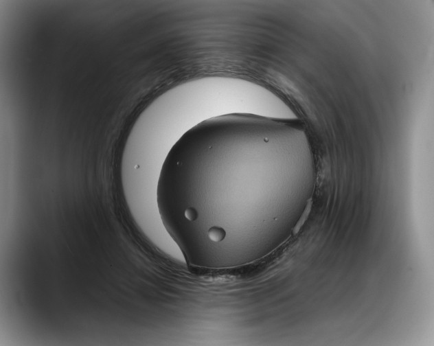 X0000088480452200706121534