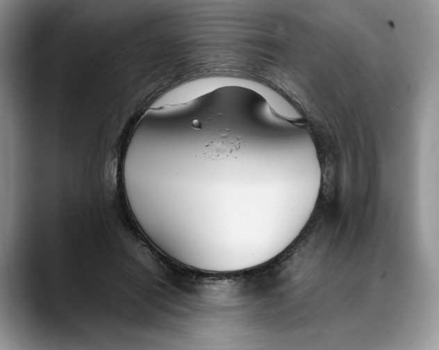 X0000088480454200706121534