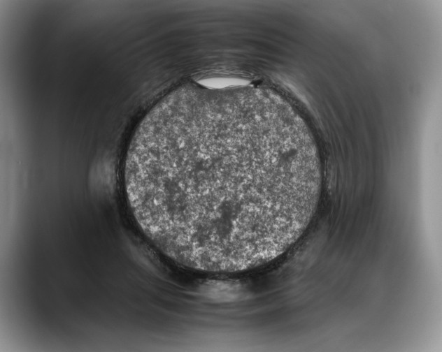 X0000088480455200706121534