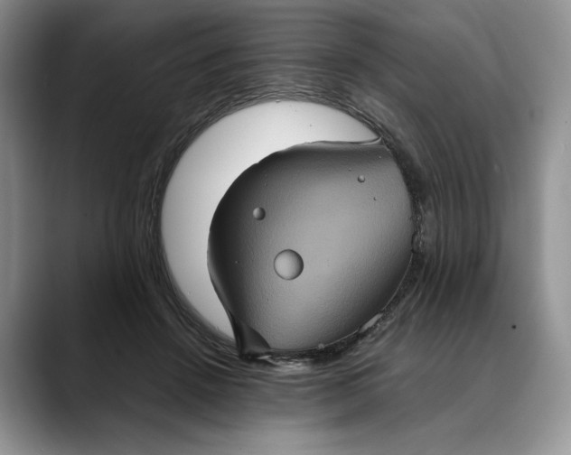 X0000088480456200706121534