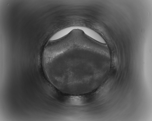 X0000088480457200706121534