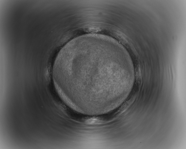 X0000088480460200706121534