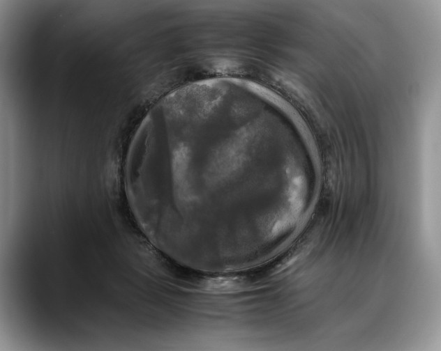 X0000088480461200706121534