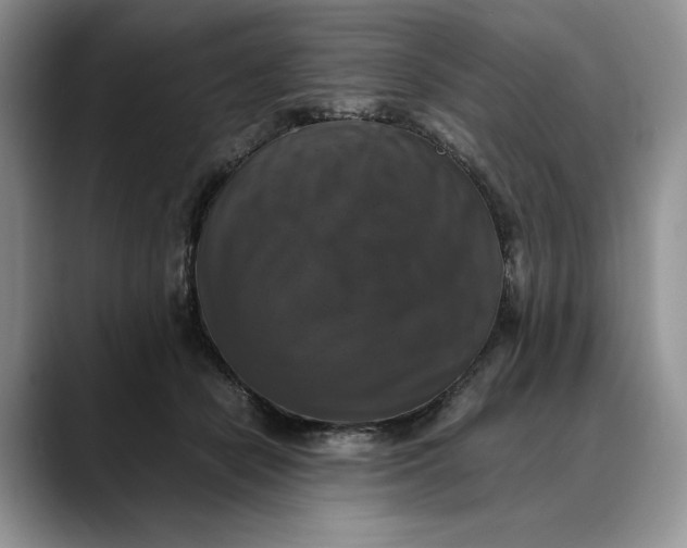 X0000088480462200706121534