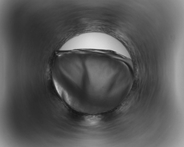 X0000088480465200706121534