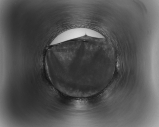 X0000088480466200706121534