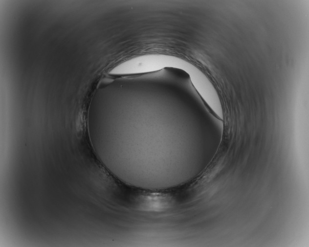 X0000088480467200706121534