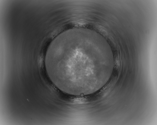 X0000088480468200706121534