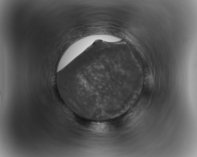 X0000088480469200706121534